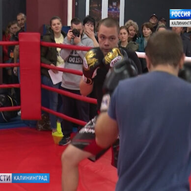 В Калининграде сотрудники янтарного комбината приняли участие в турнире по боксу