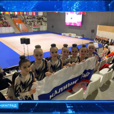 Калининградские спортсменки стали первыми на международном турнире по эстетической гимнастике
