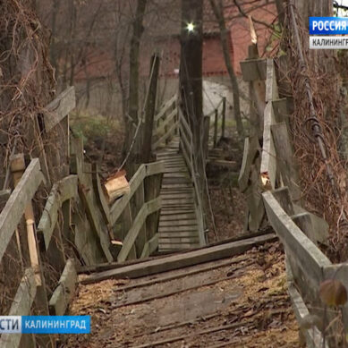 Ветхий мост в посёлке Заречье отремонтируют