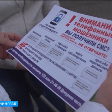 В Калининградской области растёт количество людей обманутых мошенниками