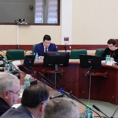 В Калининграде обсудили создание и сохранение зелёных зон