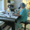 В Калининграде клинике репродуктивных технологий исполнилось 10 лет