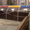 В Калининграде завершили ремонтные работы контейнерных площадок для раздельного сбора мусора