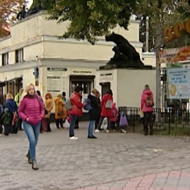 Калининградский зоопарк встретил полумиллионного посетителя