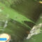 Из-за поиска утечек вода в водоёмах Чкаловска может окраситься в зелёный цвет