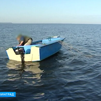 В Куршском заливе задержали рыбака с запрещённым орудием лова