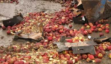 В Калининградской области в 2019 году уничтожили 20 тонн санкционных продуктов