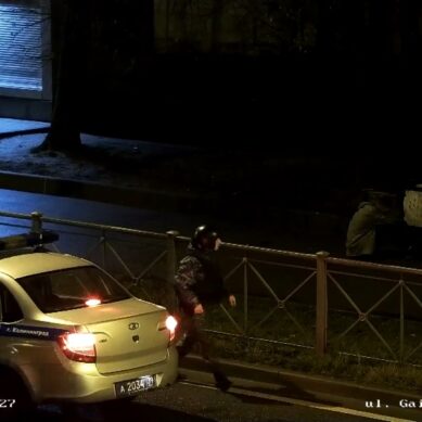 В Калининграде мужчина избил и ограбил прохожего, просившего его вызвать такси