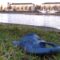 В Калининграде на Нижнем озере утонул мужчина