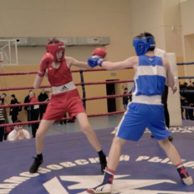 В Черняховске провели международные соревнования по боксу среди детей