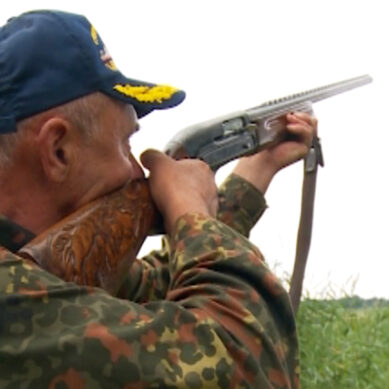 В Калининградской области откроют охоту на волков