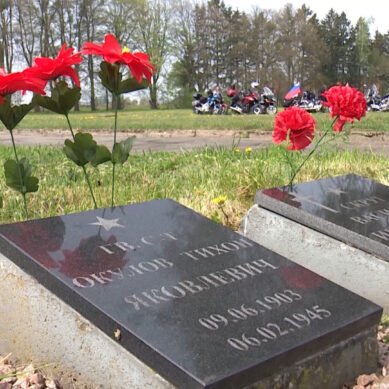 Калининградские общественники увековечат имена 20 тысяч захороненных в Польше советских воинов