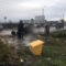 В Гурьевске поваленным от шторма деревом насмерть придавило школьницу