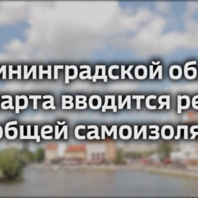 В Калининградской области с 31 марта вводится режим всеобщей самоизоляции