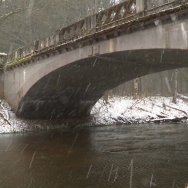 В Виштынецком парке подточенный бобрами клён может повредить мост, построенный в начале 20-го века