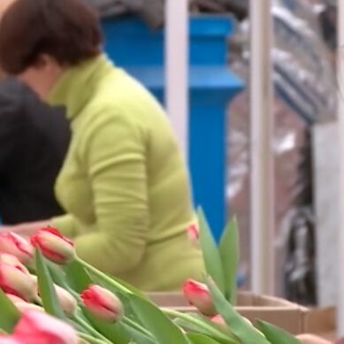 Калининградские власти планируют обустроить в городе места для продажи цветов в предпраздничные дни