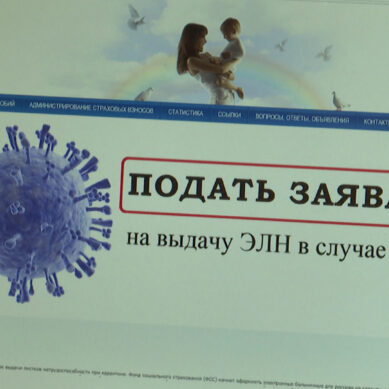 В Калининграде выписаны первые листки нетрудоспособности онлайн