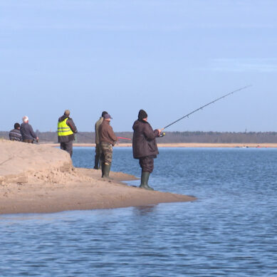 На Калининградском заливе замечены сотни рыбаков — нарушителей режима самоизоляции