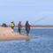 На Калининградском заливе замечены сотни рыбаков — нарушителей режима самоизоляции