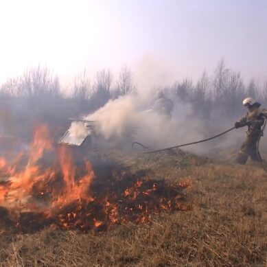 Власти региона вводят в Калининградской области особый противопожарный режим