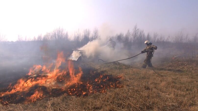 Власти региона вводят в Калининградской области особый противопожарный режим