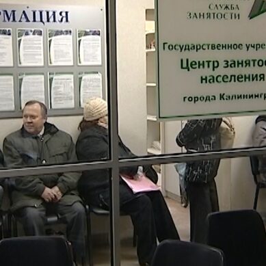 Калининградцы могут дистанционно встать на учёт по безработице