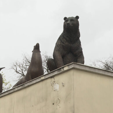 У главного входа в Калининградский зоопарк установили бронзовые скульптуры животных