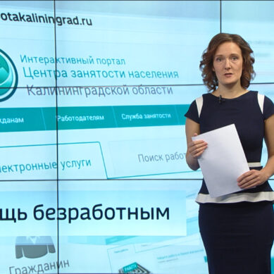 В Калининградской области готовы финансово поддержать предпринимателей и безработных