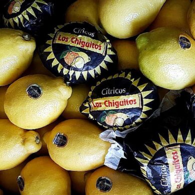 В Калининградскую область не пустили санкционные лимоны и имбирь