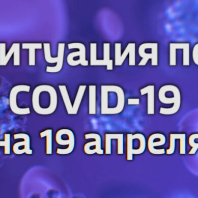 В Калининградской области за сутки подтверждено 11 новых случаев коронавируса