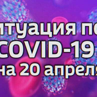 В Калининградской области за сутки подтверждено 12 новых случаев коронавируса