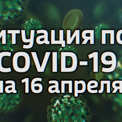 В Калининградской области за сутки выявлено 8 новых случаев коронавируса