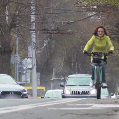 У калининградских велосипедистов появилась «выделенка» на ул. Комсомольской
