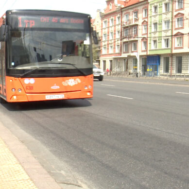 Общественный транспорт Калининграда в майские праздники будет работать в обычном режиме