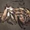 В Полесске осудили рыбака, который незаконно добыл двенадцать лещей