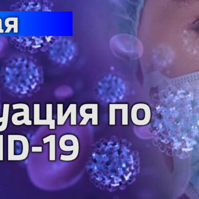 В Калининградской области подтвердили 37 новых случаев коронавируса