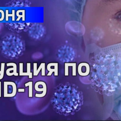 В Калининградской области за сутки подтвердили 42 случая коронавируса