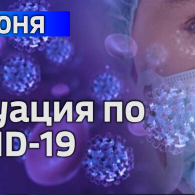 В Калининградской области за сутки подтвердили 43 случая коронавируса