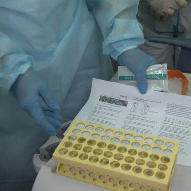 В Калининградской области объявлено 35 новых случаев коронавирусной инфекции
