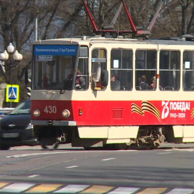 В Калининграде после окончания общих нерабочих дней увеличивают количество общественного транспорта