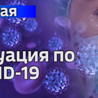 В Калининградской области объявлено 33 новых случая коронавирусной инфекции