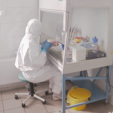 В Калининградской области коронавирус выявили у сотрудника загородного лагеря