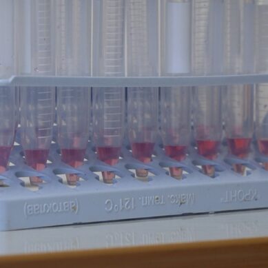 В Калининградской области в 3 раза увеличилось количество тестов на коронавирус