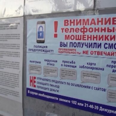 В Калининградской области зафиксирован ряд случаев совершения телефонных мошенничеств