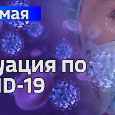 Общее количество подтвержденных случаев коронавируса в Калининградской области приблизилось к полутысячи