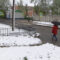 В Калининградской области ожидаются заморозки
