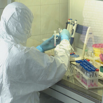 За выходные в Калининградской области стало известно о еще 84 подтвержденных случаях коронавируса