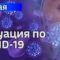 В Калининградской области объявлен 41 новый случай коронавирусной инфекции