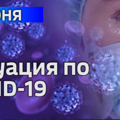 В Калининградской области за сутки подтвердили 23 случая коронавируса