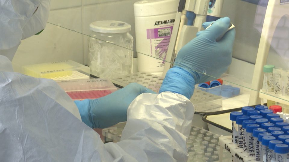 В Калининградской области коронавирус выявили у двух судей